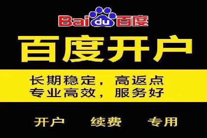 案例解析：百度SEM如何帮助企业抢占市场